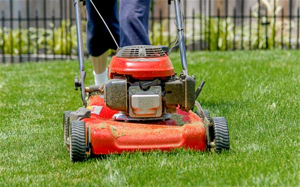 A person mowing the lawn