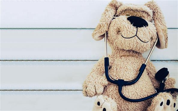 A stuffed dog teddy bear wearing a stethoscope
