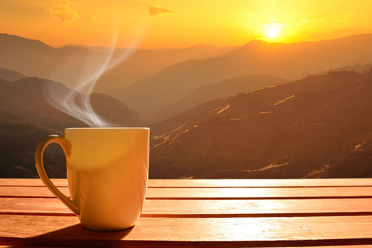 A steaming mug outside during a sunset bathed in golden light