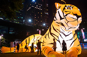 An illuminated inflatable tiger in Sydney. 